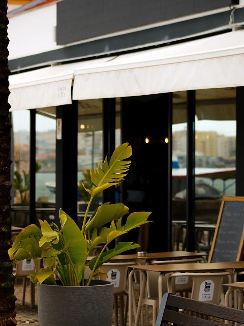 exterior cais_01
